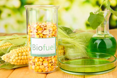 Waste Green biofuel availability
